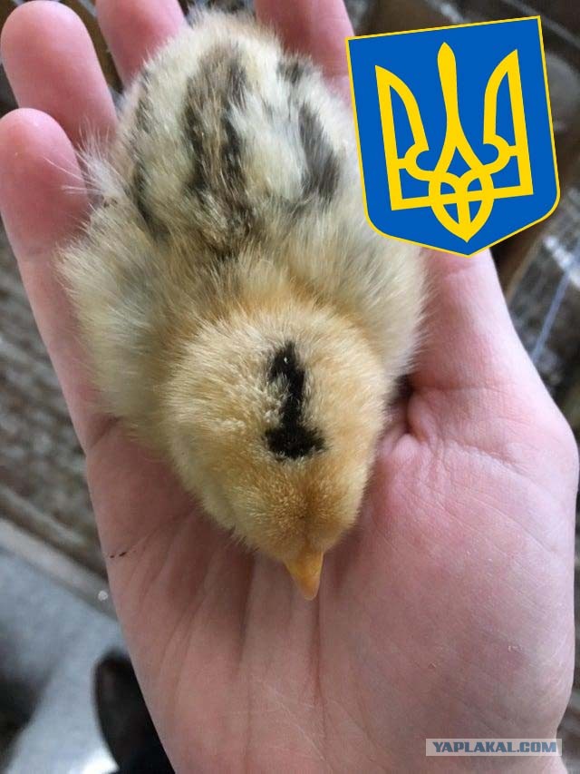 В этом мире ещё много интересного