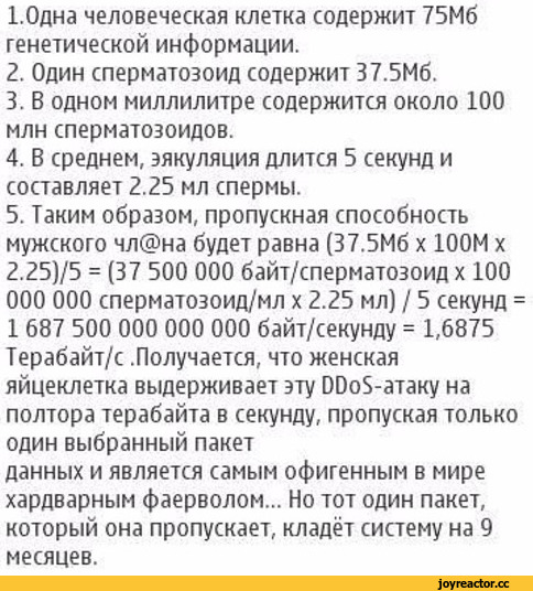 Мужчины, гордитесь!