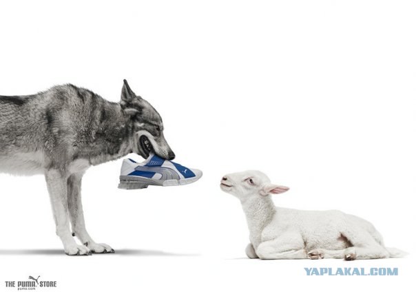 Креативная реклама от Puma