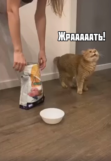 С ума сошла, что-ли?!