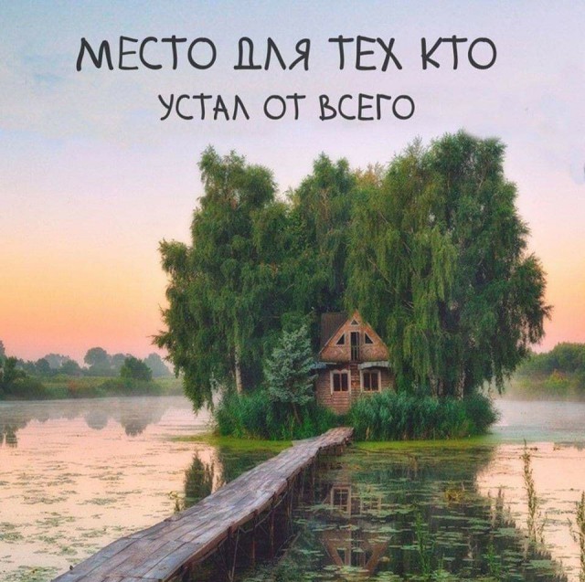 Немного картинок для настроения 11.12.19