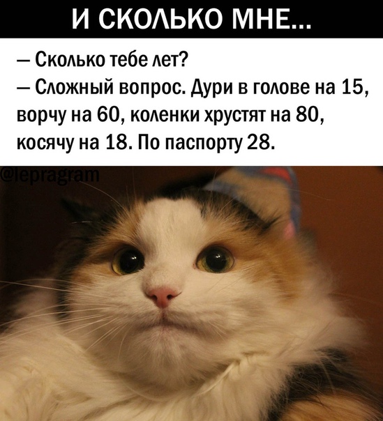 Чуток картинок! 26.12.19
