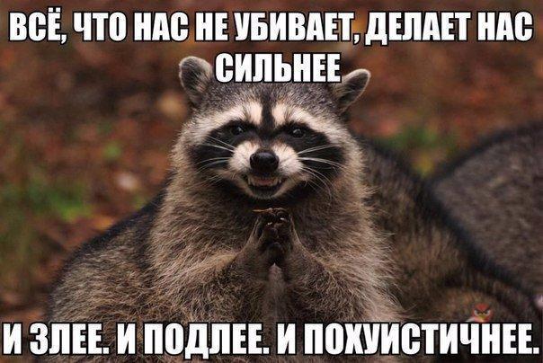 Древние мемы с ВК. Для тех кто забыл #7