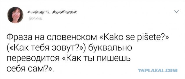 Немного фактов о разных языках мира