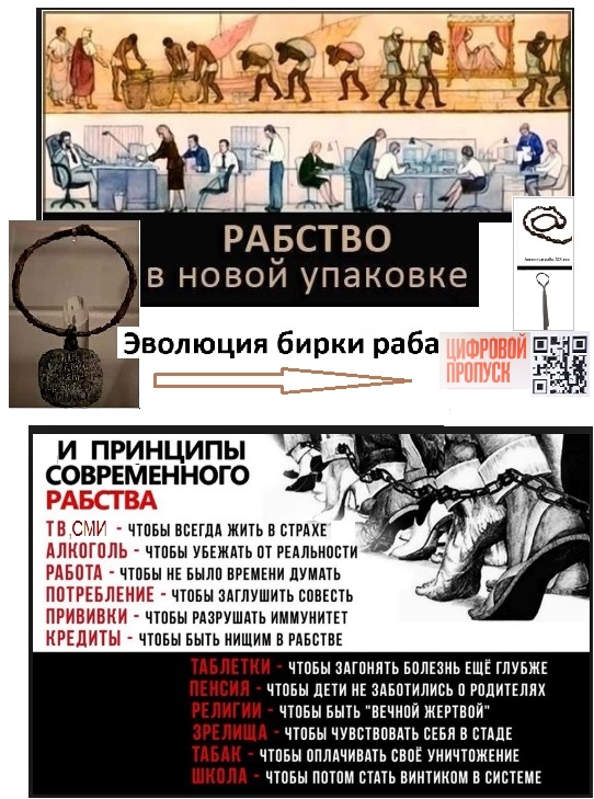 Трое полицейских все же справились с пенсионеркой и затолкали в машину. Ну герои же!