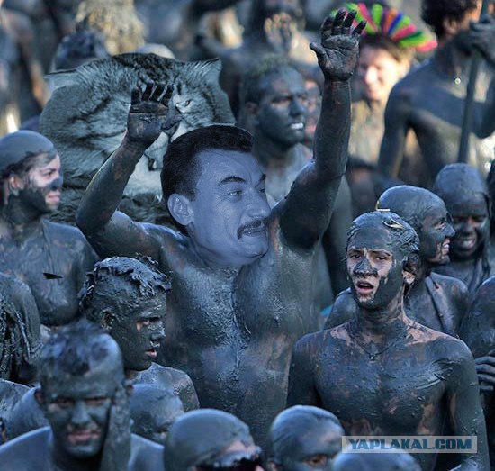 Злой кот