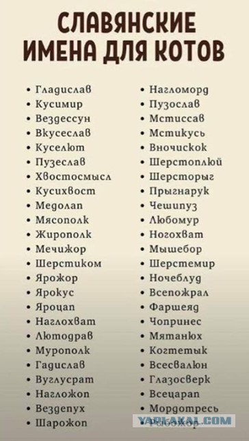 Прикольные и просто красивые картинки 05.08.2020