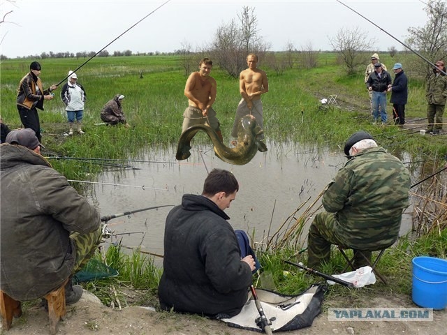 Жабим Улов