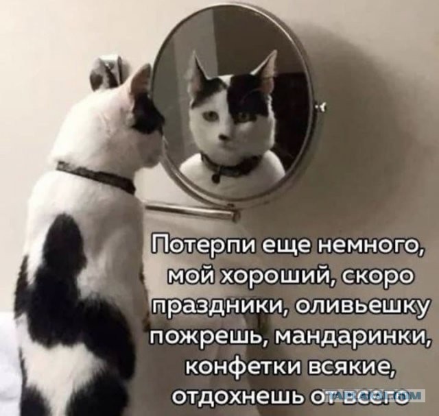 Бредзона 24.12.20
