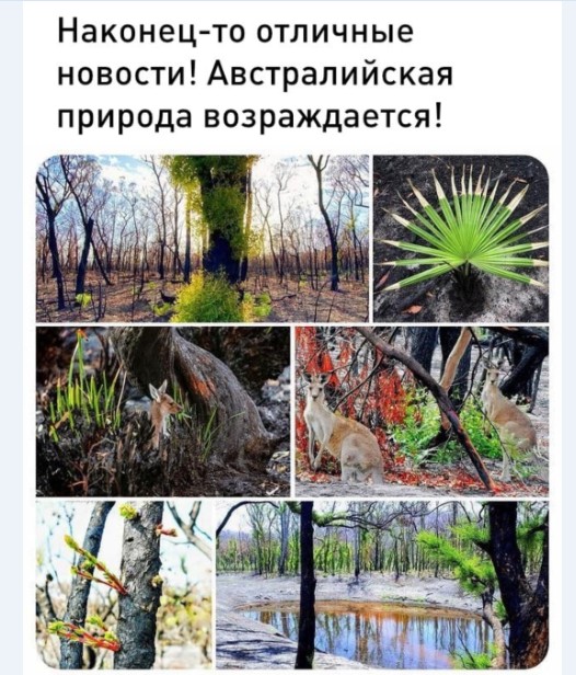 Картинки и мемы для настроения 018