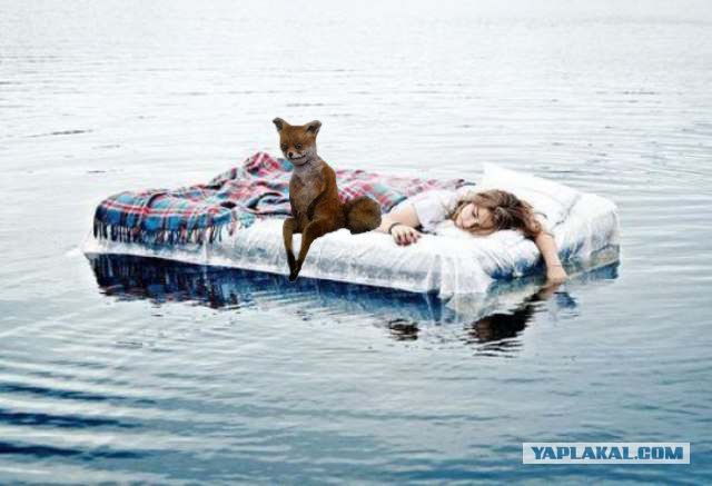 Таксидермия + наркомания