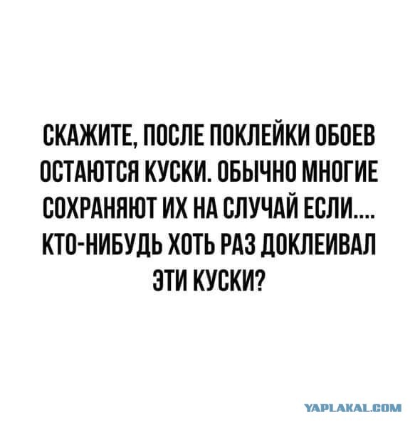 Бредзона 02.02.21