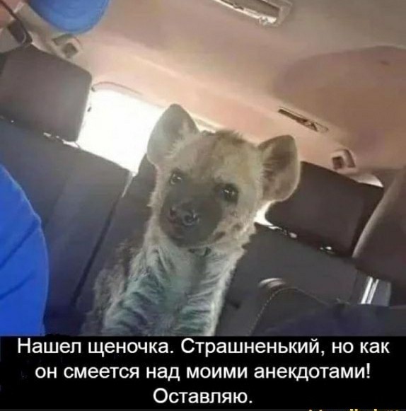 Мадам и месье бонжур