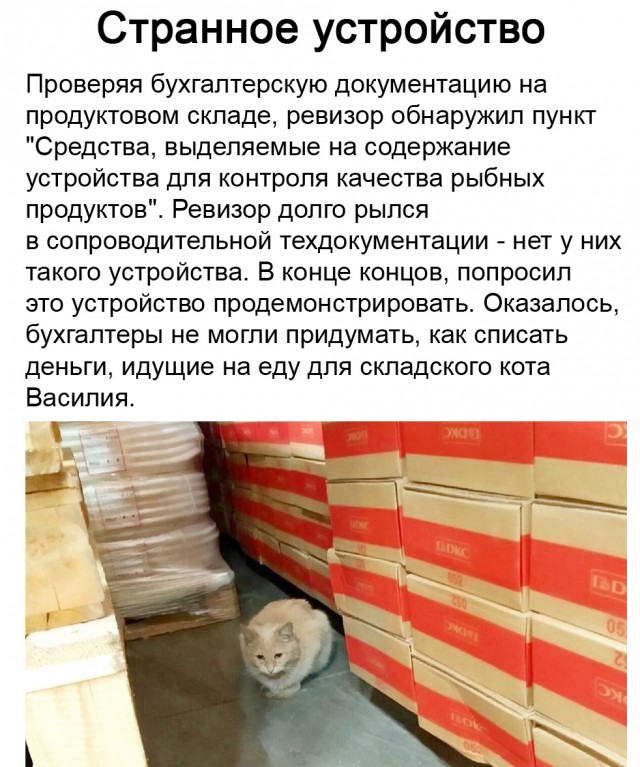 Так себе картинки 05.06.21