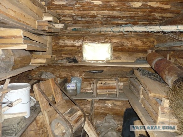 Лесное жилище
