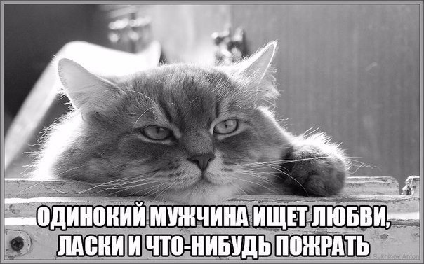 Баянисто-небаянистый юмор 11.01.22