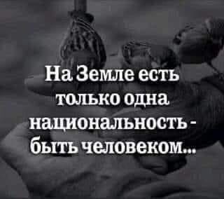 Эволюция