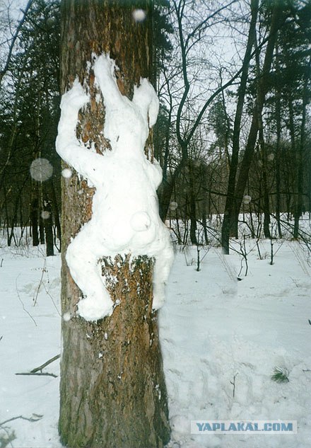 За двумя зайцами погонишься