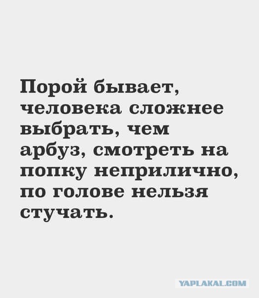 Так себе картинки 18.04.22