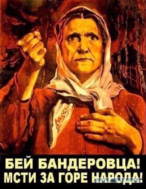 Референдумы в Херсонской и Запорожской областях запланированы на сентябрь