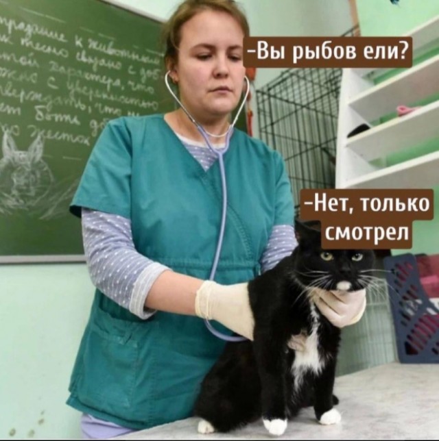 Так себе картинки 14.08.22
