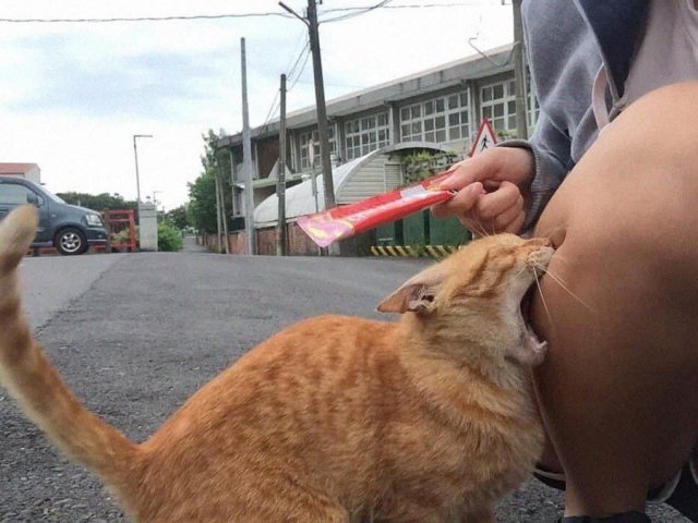 Картинки и мемы, всем хороших выходных