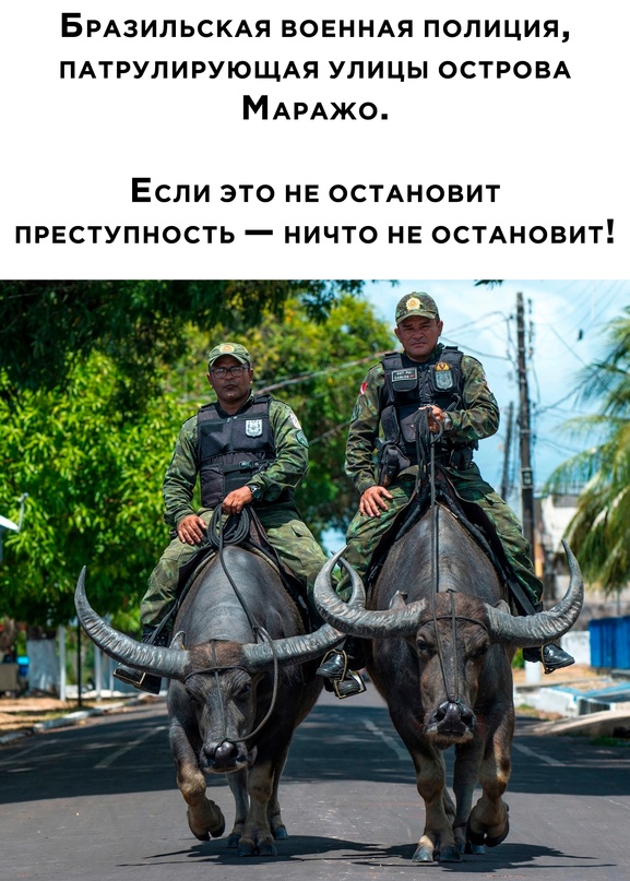 Весёлый полтишок 25.04.23