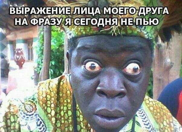 Весёлый полтишок 01.11.23