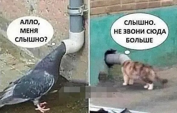 Всех причастных с праздником!