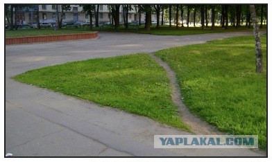 К этому магазину не зарастет народная тропа