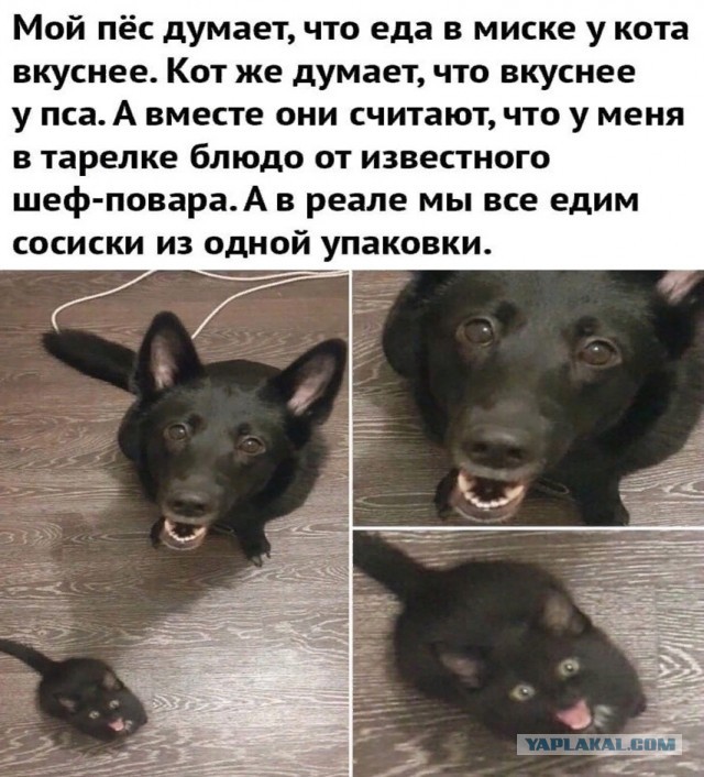 Так себе картинки 03.10.24