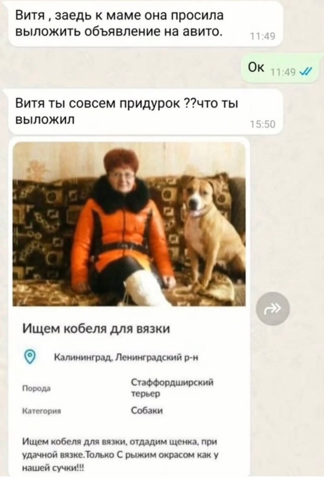 Немного картинок о жизни. Номер 2