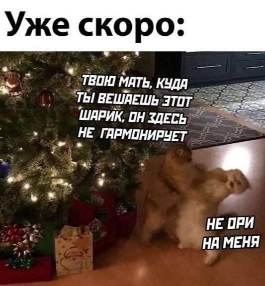 Веселые картинки в пятницу (10.01)