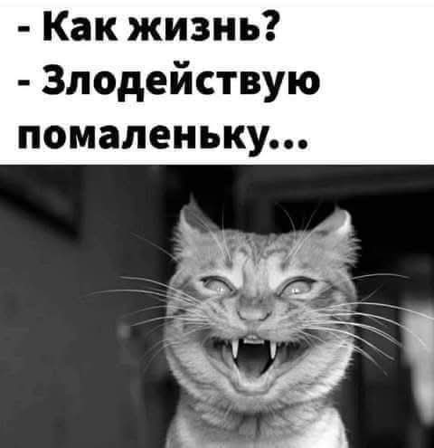 Маленькая пятница 21.05.25