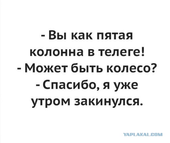 Веселые картинки в маленькую пятницу (16.07)