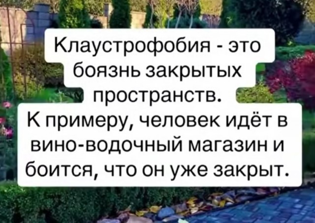 Последняя маленькая пятница 2025