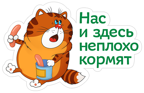 А, погнали в Индию, а?