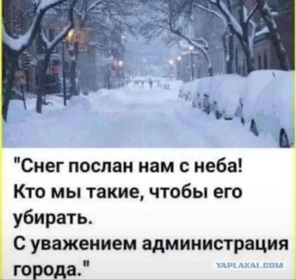 Россияне должны сами убирать снег во дворе, а не жаловаться на управляющие компании, — Госдума