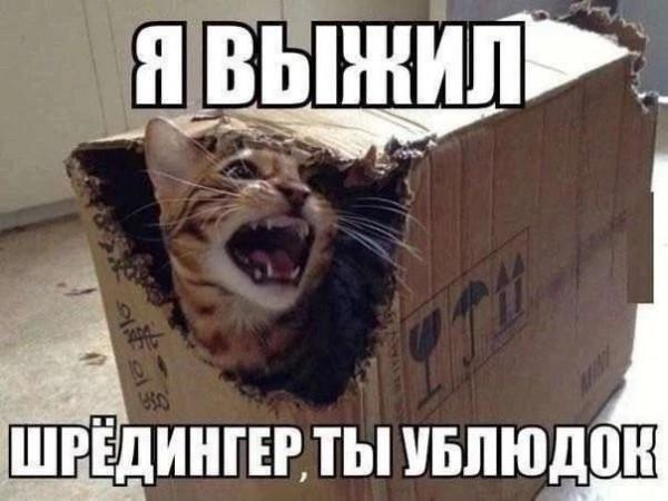 20704652.png