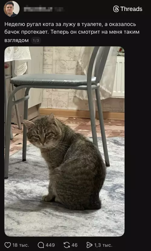 Картинки на 27.02.2026