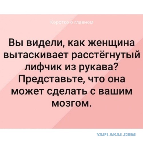 Текнолоджия!