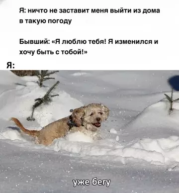 Картиночки, баянчики 12 марта