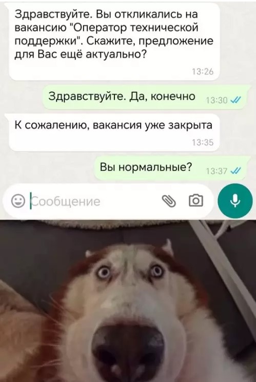 Картиночки, баянчики 24 марта
