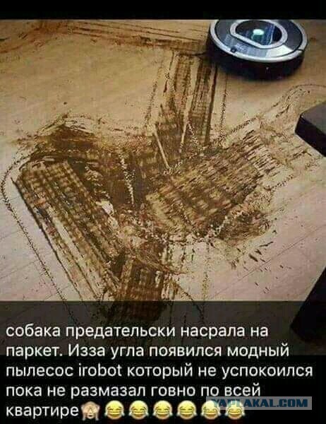 Картинки для деградации 167 (разной степени свежести)