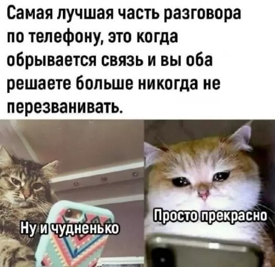 Картинки для деградации 176 (разной степени свежести)