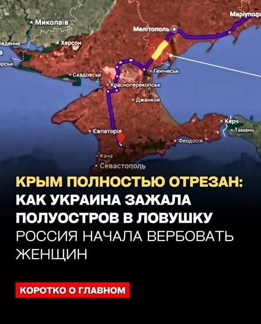 Стоимость бензина по губернаторским талонам в Севастополе