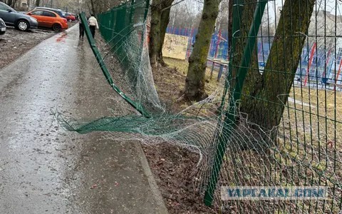 Умеет, могёт