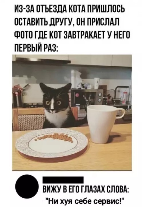 Так себе картинки 05.07.26