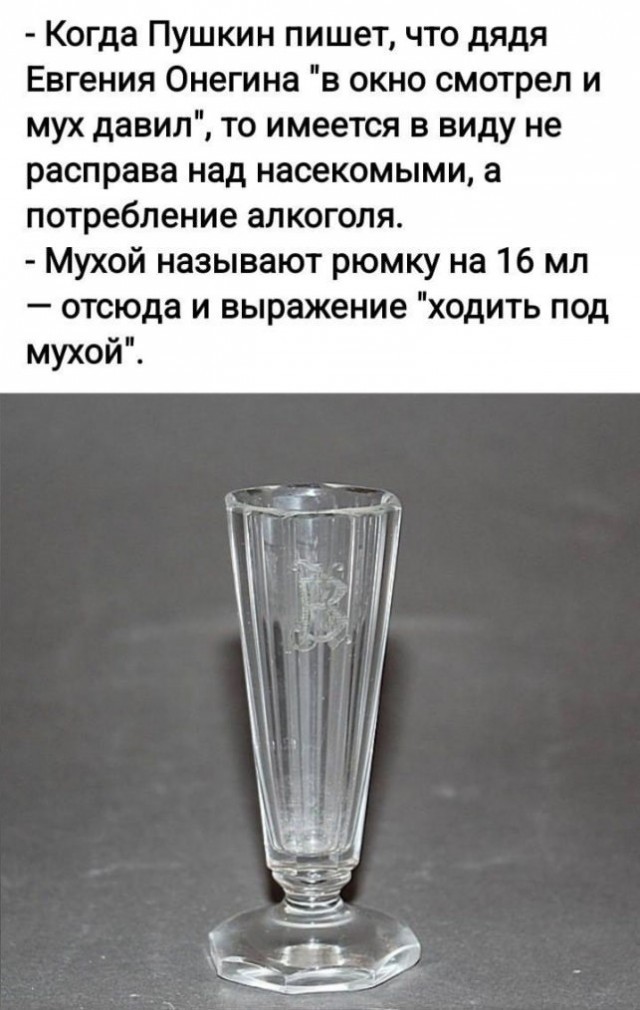 Потная гамсахурдия №7