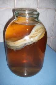 Органическая жизнь в кеге со свежим пивом.